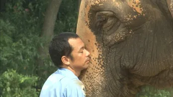 “66歳のゾウ”に密着した感動番組が映画化&公開へ