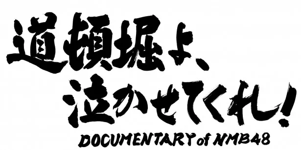 外箱不良宅配便送料無料 道頓堀よ、泣かせてくれ! DOCUMENTARYofNMB48