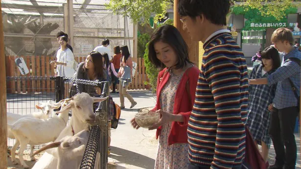 【写真を見る】スクープ！ 瑛太と松岡茉優が動物園で白昼堂々デート!?
