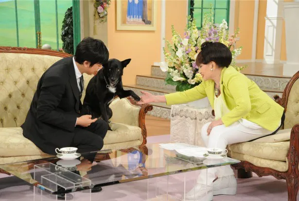 【写真を見る】上川の愛犬・ノワールは芸能界の大御所・黒柳を相手に堂々と特技を披露！