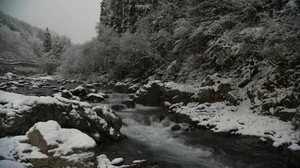 水墨画のような雪の庄川。秘境の温泉宿など、川が作り上げた絶景に富田は感激