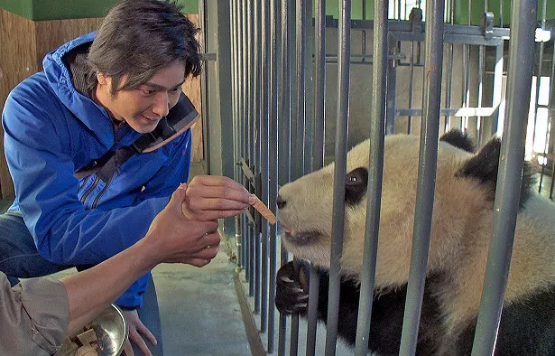 【写真を見る】パンダ研究・繁殖センターでは餌やりを体験！
