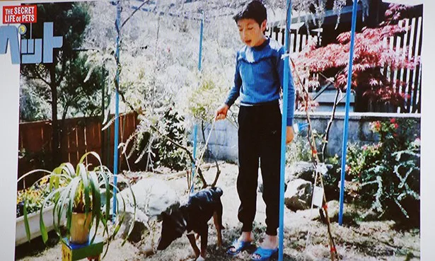 小学校時代の日村勇紀は、犬も猫もいっぱい飼っていたという