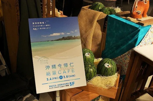「沖縄今帰仁絶景カフェ」が期間限定でオープン