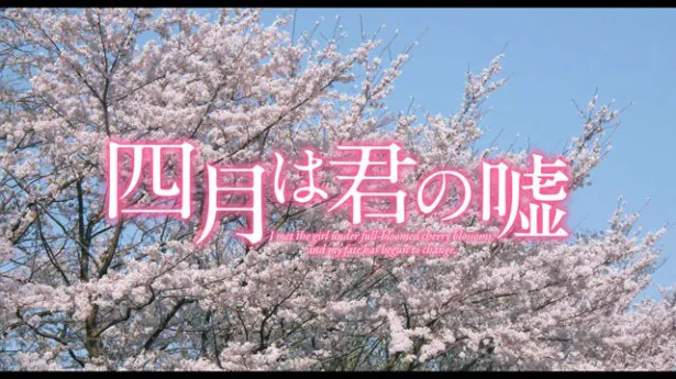 満開の桜がまぶしい特報映像のタイトルロゴ