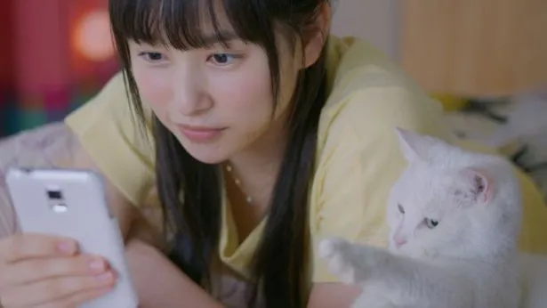 【写真を見る】桜井日奈子＆白ネコのキュートな2ショット！