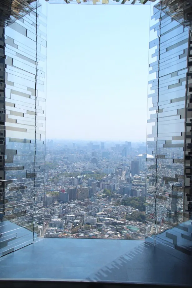 東京の絶景をバックに記念撮影が可能