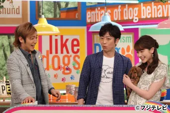 上川隆也の愛犬ノワールの お手 に黒柳徹子も大興奮 Webザテレビジョン