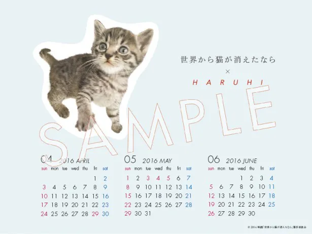 iTunesで4曲入りシングル「ひずみ」を購入すると、 限定特典としてHARUHI×「世界から猫が消えたなら」オリジナルカレンダーBOOKが全員にプレゼントされる