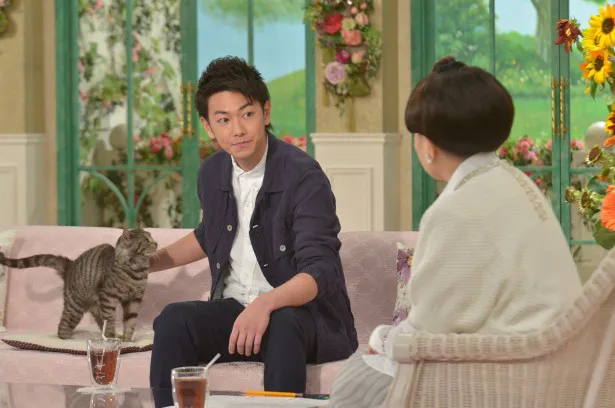 【写真を見る】佐藤健が映画「世界から猫が消えたなら」で共演したタレント猫・バンプ君と登場