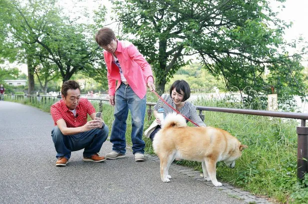 東京・上野恩賜公園で柴犬まるを散歩中のさまぁ～ずと狩野恵里アナ。三村マサカズは、まるのお尻のショットを撮影しようと奮闘！