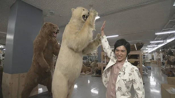 山田悠介はクマの剥製にはしゃぐ