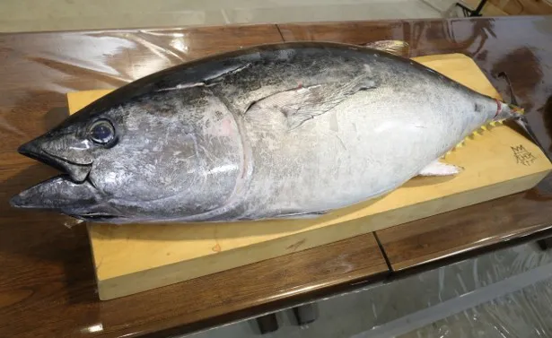 【写真を見る】包丁さばきの腕を磨いてきた相葉雅紀が30kgを超えたマグロをさばく！