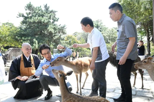 【写真を見る】奈良公園では、古舘伊知郎も鹿の餌やりにチャレンジ！