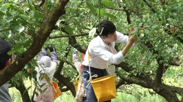 画像 瀬戸康史 大好きな チョーヤ梅酒 の新cmに出演 5 12 Webザテレビジョン