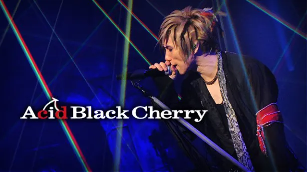 Acid Black Cherry TOUR『2012』