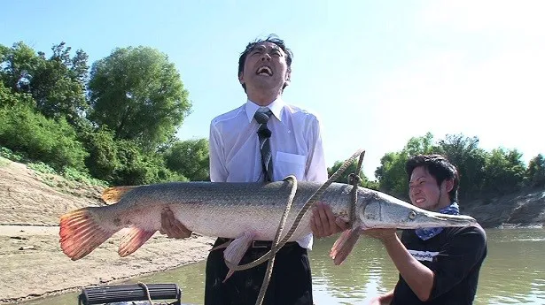 【写真を見る】アンガールズの田中卓志は、巨大なアリゲーターガーの捕獲に挑戦する！