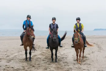【男子旅】浅香航大ら三浦半島で「縁結び守り」に願い事
