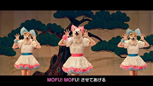 世界初の秋田犬アイドルグループ「MOFU MOFU☆DOGS」が、デビュー曲で秋田をPR！