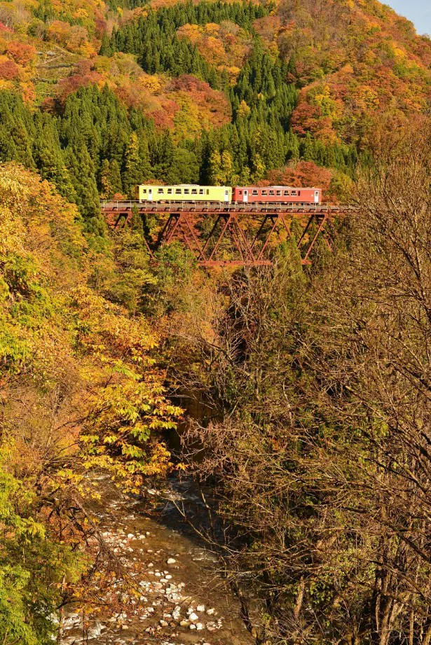 秋田県の内陸部を走るローカル鉄道・内陸縦貫鉄道では、秋になるとこんな絶景が堪能できる！