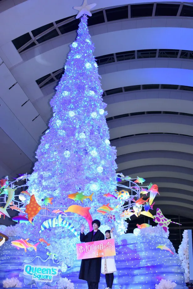 【写真を見る】miwa＆坂口健太郎も息をのむ美しさの“クリスマスツリー”