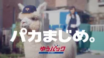 「パカまじめ。」を訴求した「ゆうパック」のWebムービーは12月8日より公開