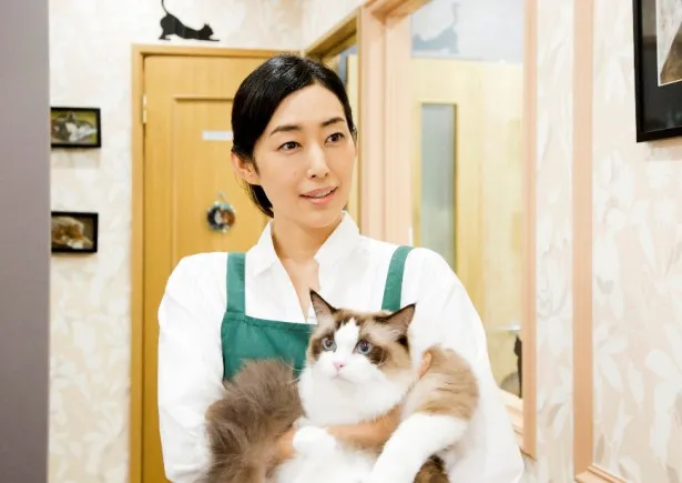 佐久本（伊藤）のねこへの興味を掻き立てる、ペットショップ店主を木村多江が演じる