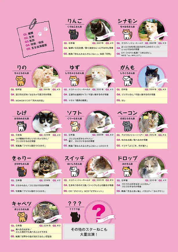 画像・写真 映画「ねこあつめの家」の“追加キャット”は役者ぞろい(2/15) | WEBザテレビジョン