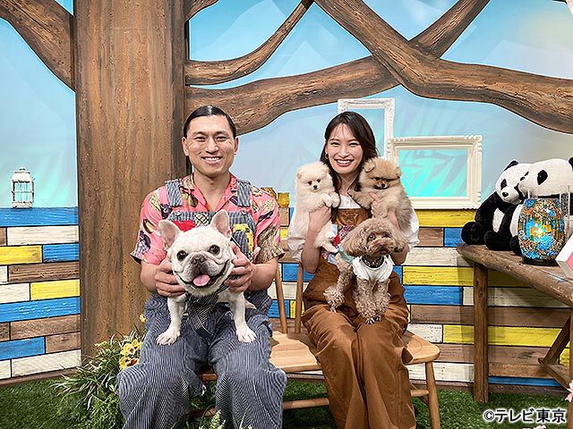 動物 ペット アニマル番組まとめ 21年 Webザテレビジョン