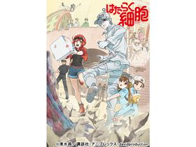 鈴木健一の出演番組情報 Tv テレビ 映画 ドラマ アニメ