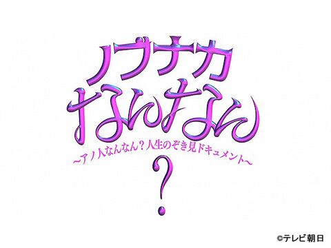 映画 難波金融伝 ミナミの帝王 堕ちる女 の作品内容一覧 ザテレビジョン