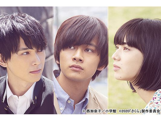 北村匠海 小松菜奈 吉沢亮と演じた兄妹ビジュアルに 三白眼がそろったな 笑 さくら Webザテレビジョン