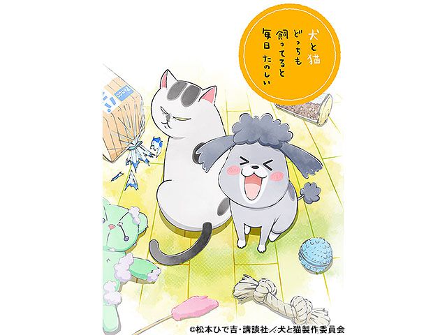 犬と猫どっちも飼ってると毎日たのしい アニメ Webザテレビジョン