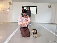 モヤモヤさまぁ〜ず2