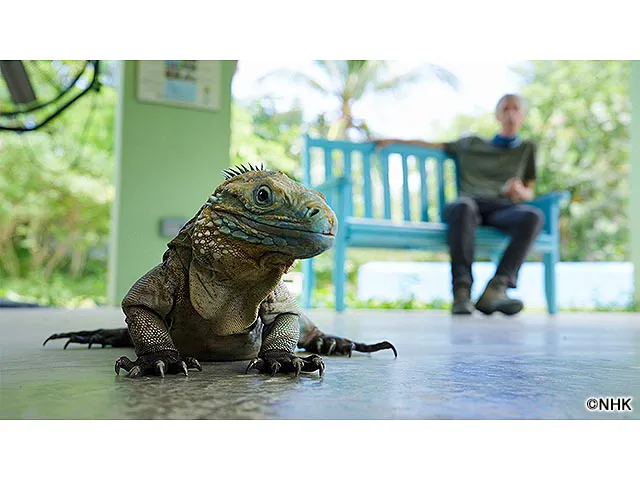 ダーウィンが来た！