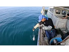 魚が食べたい!−地魚さがして3000港−