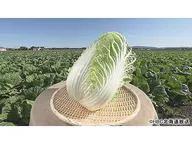 あぐり王国北海道 NEXT