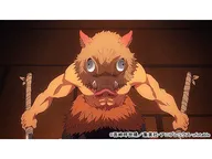 第12話 「鬼滅の刃」竈門炭治郎 立志編「猪は牙を剥き 善逸は眠る」