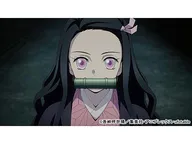 第7話 「鬼滅の刃」竈門炭治郎 立志編「鬼舞辻無慘」