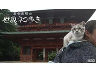 岩合光昭の世界ネコ歩き