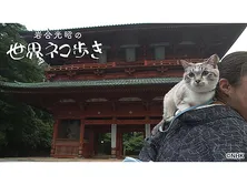 岩合光昭の世界ネコ歩き