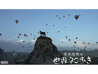 岩合光昭の世界ネコ歩き