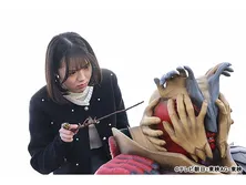 ナンバーワン戦隊ゴジュウジャー