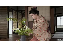 【連続テレビ小説】ばけばけ