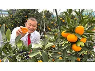 ザ・穴場ツアー　CATVネットワーク