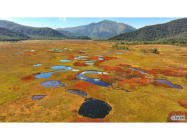 さわやか自然百景