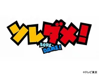 ソレダメ！〜あなたの常識は非常識!?〜スペシャル