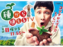 種から植えるTV
