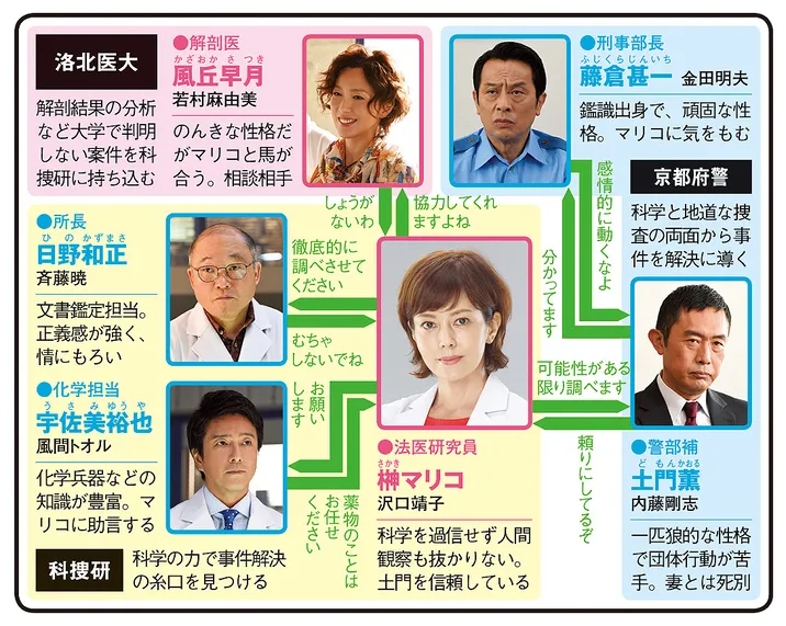 科捜研の女17の人物相関図