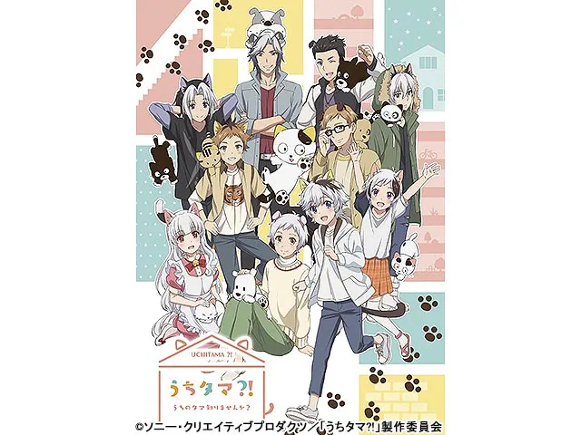 うちタマ?! 〜うちのタマ知りませんか？〜